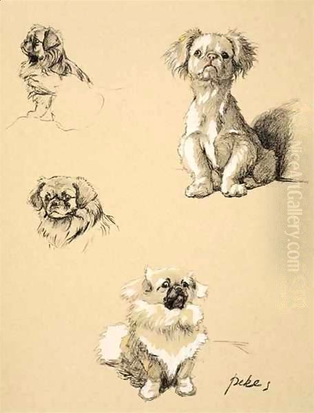 Pekes - view 1