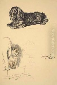 Spaniel and Chow by Cecil Charles Aldin