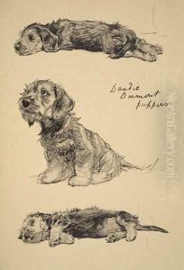 Dandie Dinmont Puppies