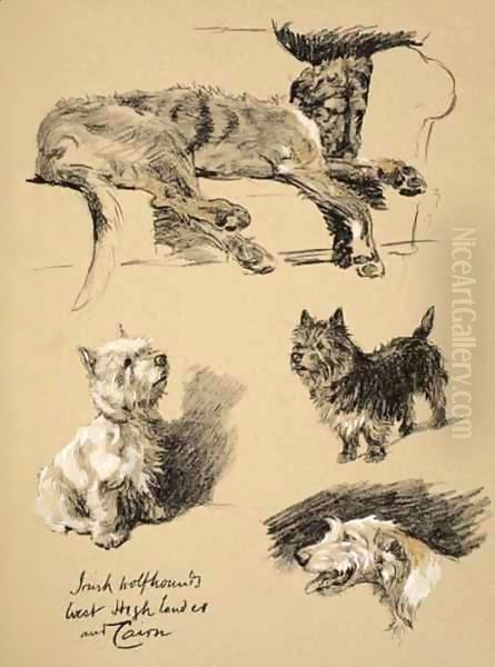 Irish Wolfhound, West Highlander and Cairn - view 1