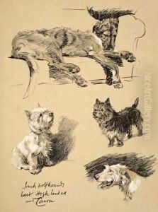 Irish Wolfhound, West Highlander and Cairn by Cecil Charles Aldin