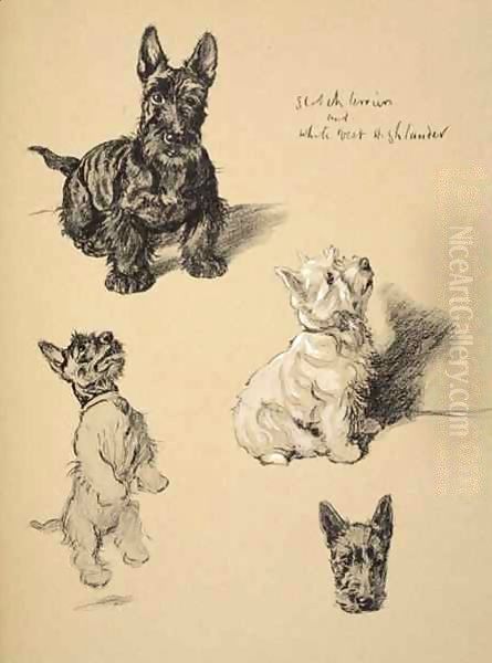 Scotch Terrier and White West Highlander - view 1