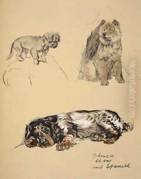 Pekinese, Chow and Spaniel - view 1