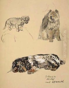 Pekinese, Chow and Spaniel by Cecil Charles Aldin