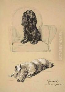Spaniel and Sealyham by Cecil Charles Aldin