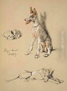 Ibiza Hound Puppy by Cecil Charles Aldin