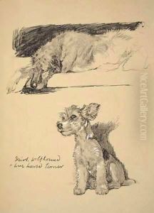 Irish Wolfhound and Wire-Haired Terrier by Cecil Charles Aldin