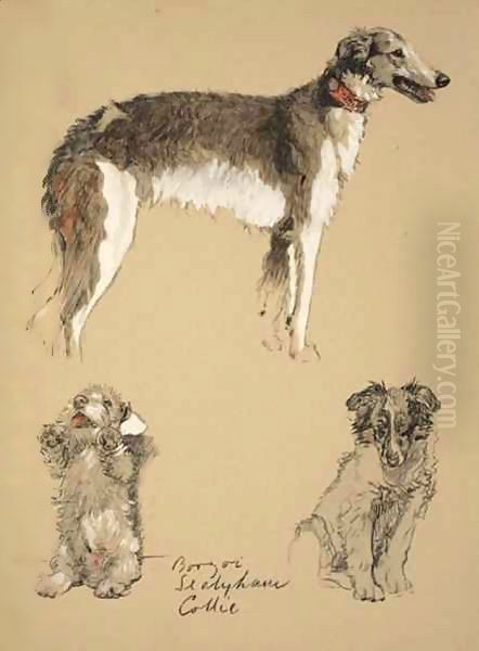 Barzoi, Sealyham and Collie - view 1