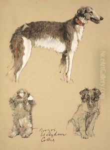 Barzoi, Sealyham and Collie by Cecil Charles Aldin