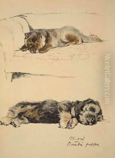 Chow and Dandie Puppy - view 1
