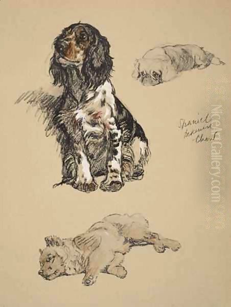 Spaniel, Pekinese and Chow - view 1