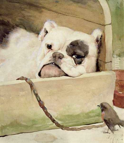 Bulldog 2 - view 1