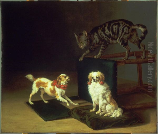 Cat Playing with Two Dogs - view 1