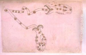 Representations of the Zodiac Pisces, the fishes by Suvar Al-Kavakib