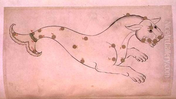 Constellations Cetus, the whale - view 1