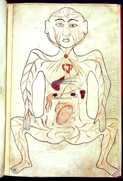 Organic Members and the Embryo in the Human Body - view 1