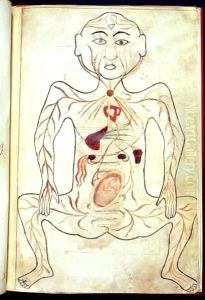 Organic Members and the Embryo in the Human Body by Tashri Al-Badan