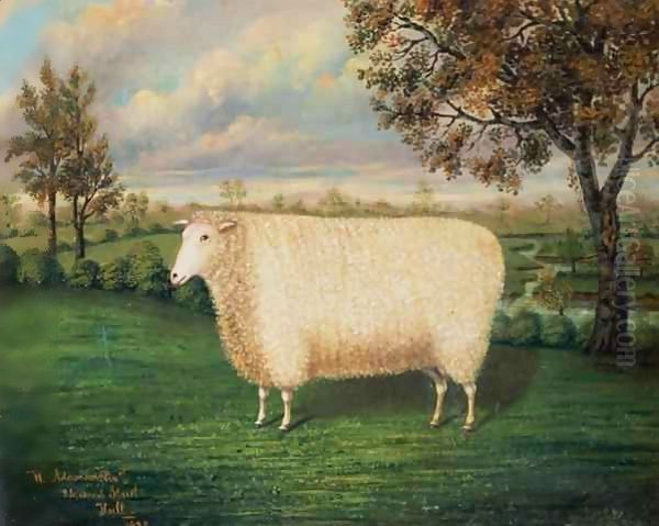 A Prize Sheep of the Old Lincoln Breed - view 1