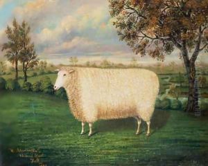 A Prize Sheep of the Old Lincoln Breed by W. Adamson
