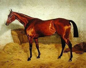 'Lonely', Winner of the 1885 Derby