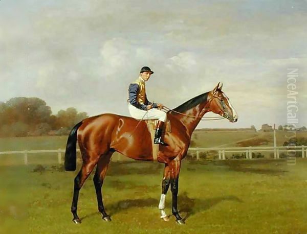 'Spearmint', Winner of the 1906 Derby - view 1