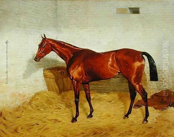 'Lonely', Winner of the 1885 Derby 2 - view 1