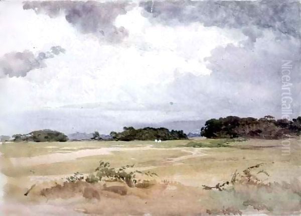 A field with groups of trees - view 1