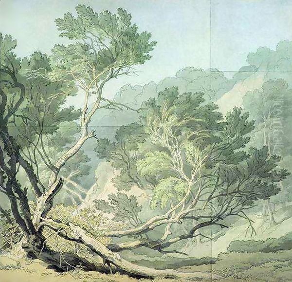 View near Fordlands, Exeter - view 1