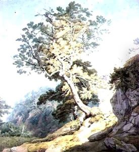 View near Canonteign, Devon by John White Abbott