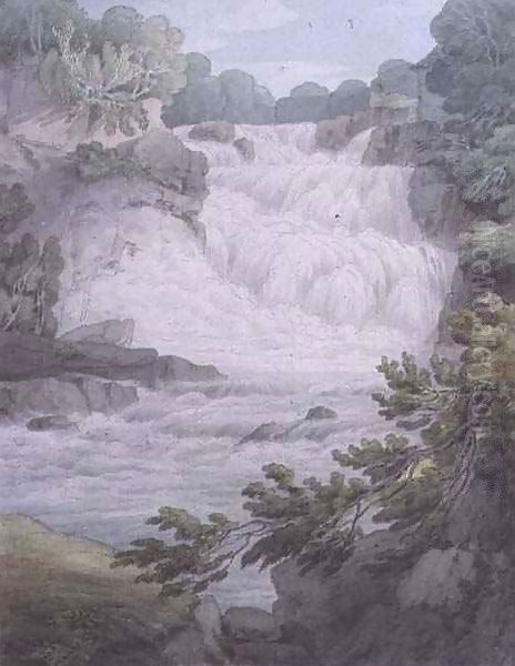 Stonebyers Linn on the Clyde - view 1