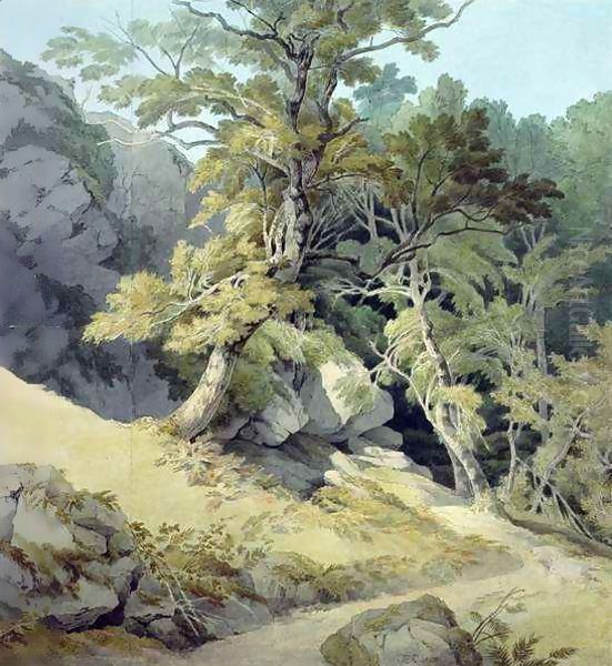 Canonteign, Devon 2 - view 1