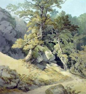 Canonteign, Devon 2 by John White Abbott