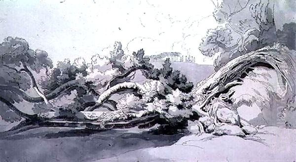 Landscape, with uprooted tree - view 1