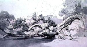 Landscape, with uprooted tree by John White Abbott