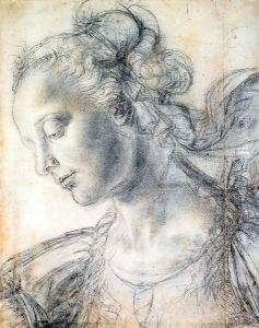 Head of a Woman by Andrea Del Verrocchio