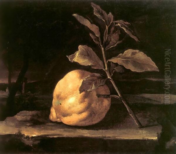 Large Citron in a Landscape - view 1