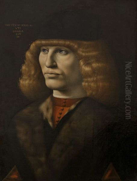 Portrait of a Young Man - view 1