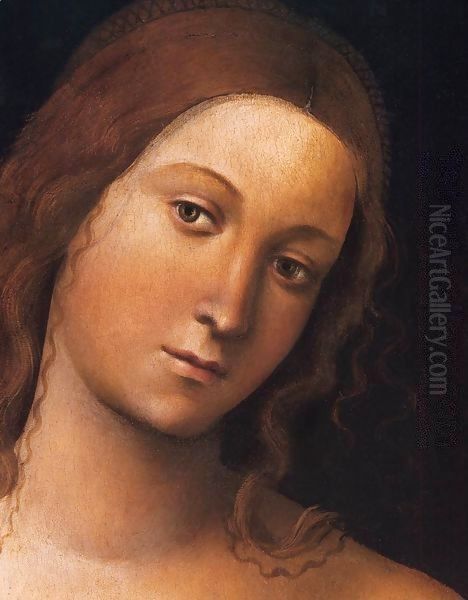 Venus (detail) - view 1