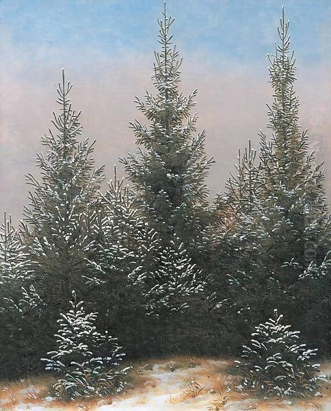 Fir Trees in the Snow - view 1