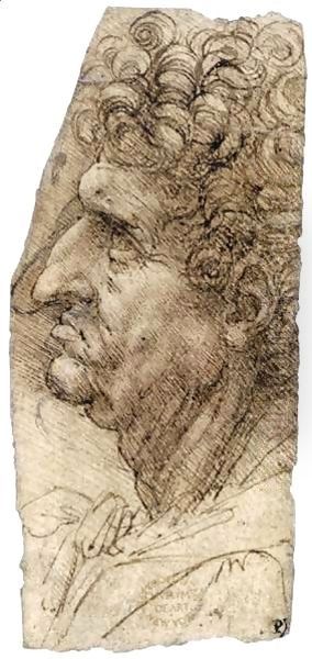 Head of a Man Facing to the Left - view 1