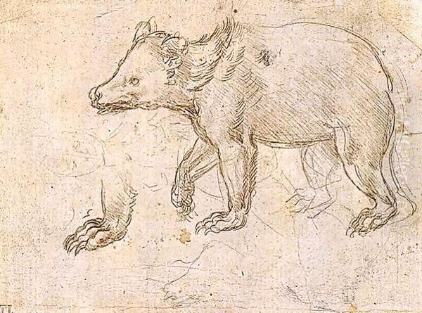 Studies of a Bear Walking - view 1