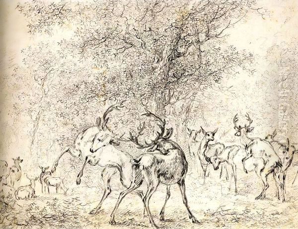 Deer in the Wood - view 1