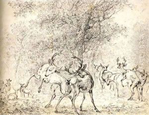 Deer in the Wood by Paulus Potter