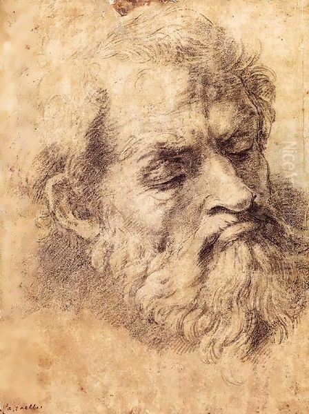 Study of the Head of an Apostle - view 1