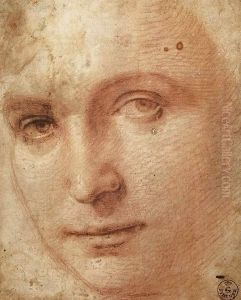 Head of a Youth by Raphael