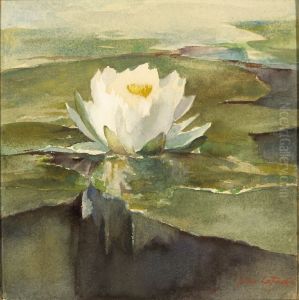 Water Lily in Sunlight by John La Farge