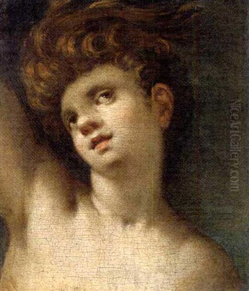 The Head Of A Youth - view 1