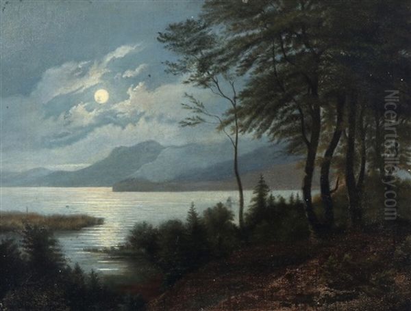 A Landscape With A View Over A Mountain Lake At Night - view 1