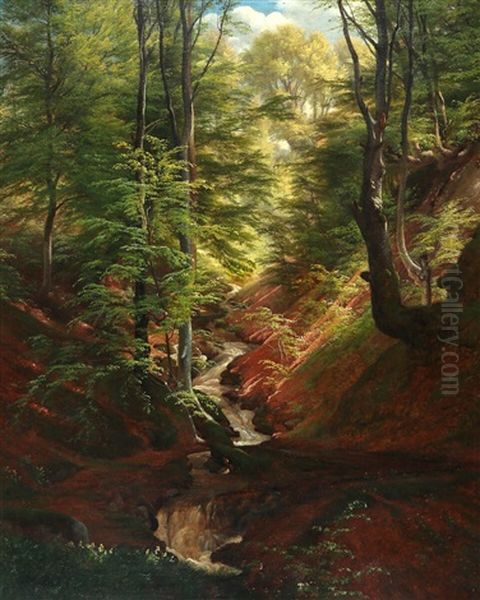 A Creek In A Forest In Springtime - view 1
