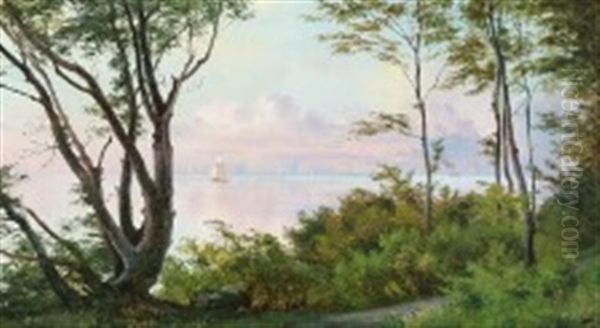 View Through The Trees Looking Towards The Sea - view 1
